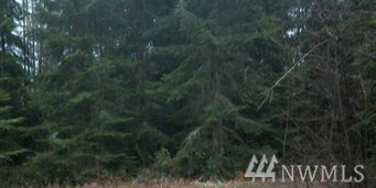 84 Yawl Ln, Port Ludlow, WA 98365 - photo 2