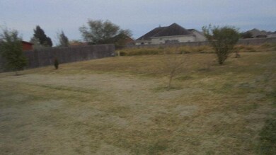 912 Villa Del Lago, Donna, TX 78537 - photo 3