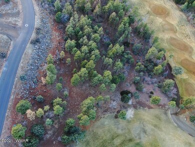 3400 Sage Ln, Show Low, AZ 85901 - photo 3