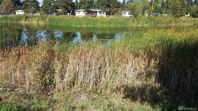 8533 Pepperidge Ln SE, Yelm, WA 98597 - photo 3