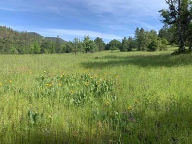 07c40b7ee2717c29-photo