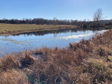 2363 State Highway Oo, Marshfield, MO 65706 - photo 6