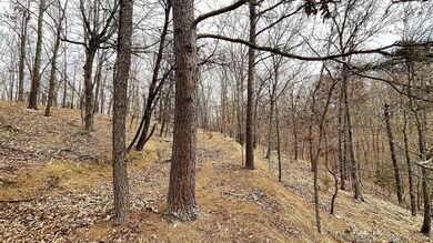 288 Crossroads Dr, Flint Creek, OK 74347 - photo 7