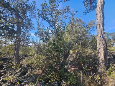 0 Coral Pkwy unit 724318, Ocean View, HI 96737 - photo 4