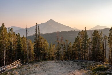 view from the cleared homesite