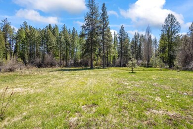 Open Meadow