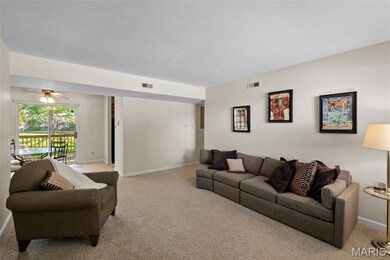 9208 Eager Rd, Saint Louis, MO 63144 - photo 4