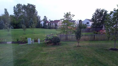 sinsidee backyard