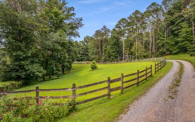 432 Licklog Rd, Ellijay, GA 30536 - photo 6