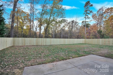 3514 Valerie Dr, Charlotte, NC 28216 - photo 7