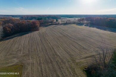 6330 County Road 4, Swanton, OH 43558 - photo 4