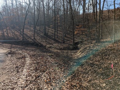 000 Gregg Rd, Reeds Spring, MO 65737 - photo 4