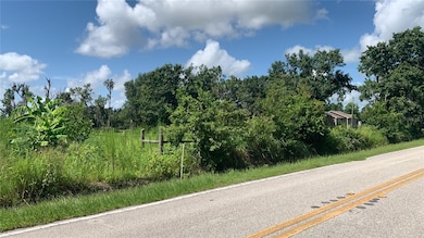 0 Sink Hole Rd unit MFRTB8408113, Bartow, FL 33830 - photo 5