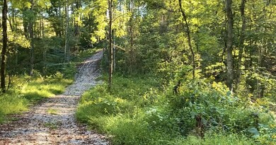 14 Blue Creek Estates, Somerset, KY 42501 - photo 5