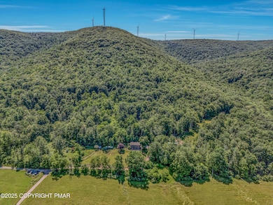 261 Hall Ln, Monroe Township, PA 18657 - photo 7