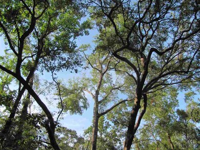 48 Hollywood Way, Crawfordville, FL 32327 - photo 5