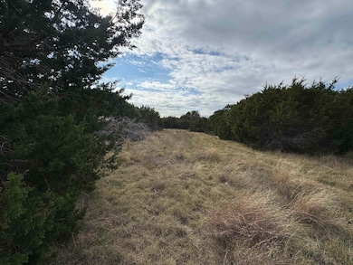 Tract -11 Stargazer Ranch, Lampasas, TX 76550 - photo 5