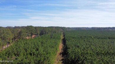 dji_fly_20221109_112300_324_166801458901