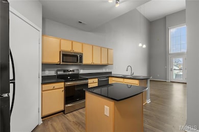 200 S Kirkwood Rd unit 320, Saint Louis, MO 63122 - photo 2