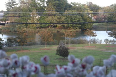 View of pond