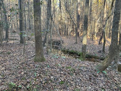 Lot 1 Willie Rd, Seagrove, NC 27341 - photo 4