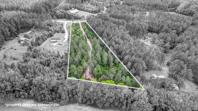 0 Loblolly Ct unit 147244, Newington, GA 30446 - photo 3