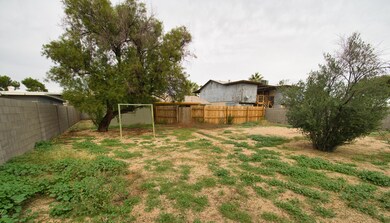 Bonus Backyard