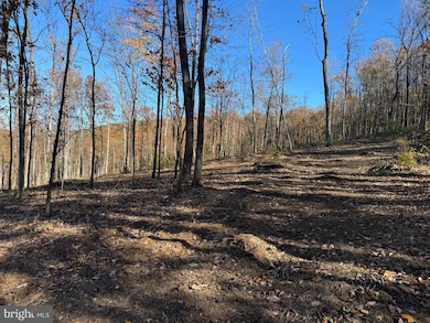 0 Digging Bear Ln unit VALO2111588, Purcellville, VA 20132 - photo 2