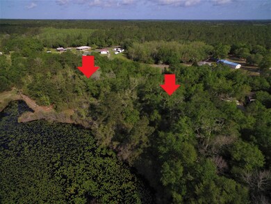 Lot 2 Three Sisters Rd, Crawfordville, FL 32327 - photo 3