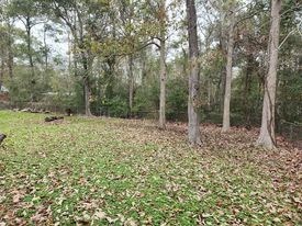 67 County Road 4266, Dayton, TX 77535 - photo 7