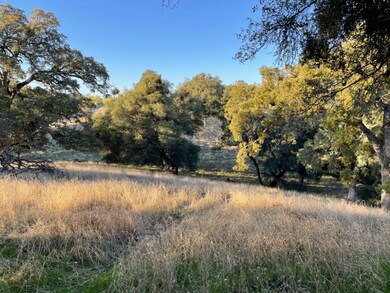 0 White Oak Rd, Plymouth, CA 95669 - photo 7