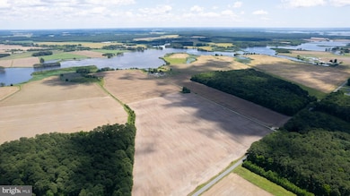 4425 Egypt Rd, Cambridge, MD 21613 - photo 2