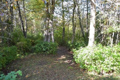 43 Duck Pond Rd, Vineyard Haven, MA 02568 - photo 3