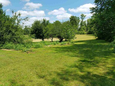 Rear yard toward pond.