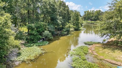 Lot 7A Hebb Rd, Wilsonville, AL 35186 - photo 6