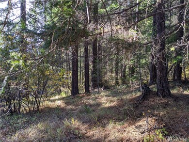 1 Bakers Rd, Cle Elum, WA 98922 - photo 7