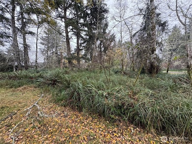 764 Tern Ct SE, Ocean Shores, WA 98569 - photo 3