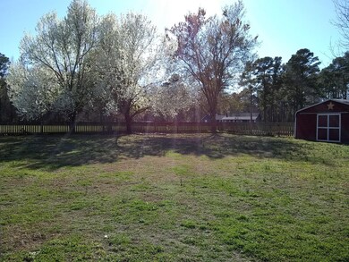 jordan back yard