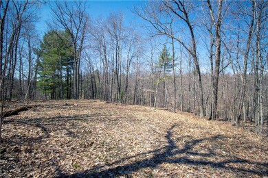 2437 2 Bear Rd, Weyerhaeuser, WI 54895 - photo 7