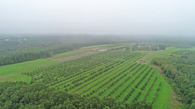 22 Rhodes Dr, Wrentham, MA 02093 - photo 3