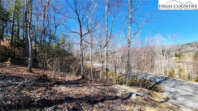 36 Running Bear Cir, Banner Elk, NC 28604 - photo 6