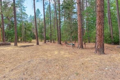 4529 E Evans Creek Rd, Rogue River, OR 97537 - photo 2