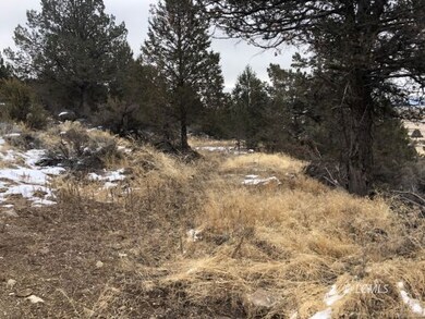 1.54 Acres, Power & Sprague River Views