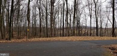 0 LOT 209 Woodcrest Dr, Gainesboro, VA 22603 - photo 7