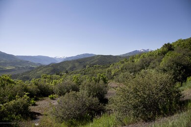 IMG_5169