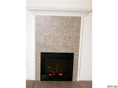 Other - Fireplace