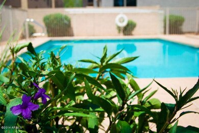 GATED COMMUNITY POOL