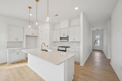 118 N Harvest Ridge Way unit Homesite 313, Smithfield, NC 27577 - photo 5