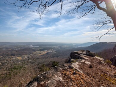 0 Hovering Hawk Dr unit 1332698, Jasper, TN 37347 - photo 3