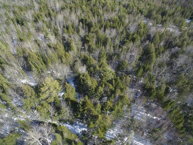 DJI_0361